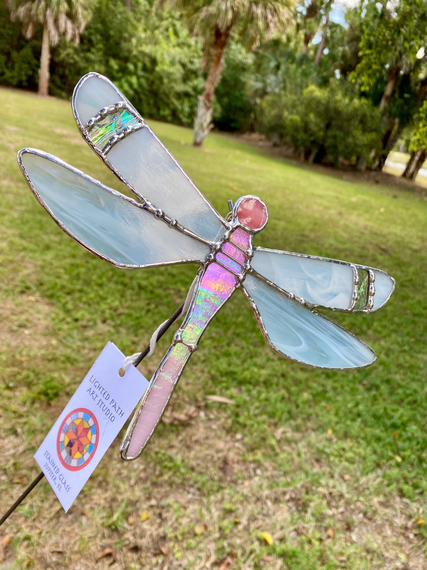 Pink Dragonfly