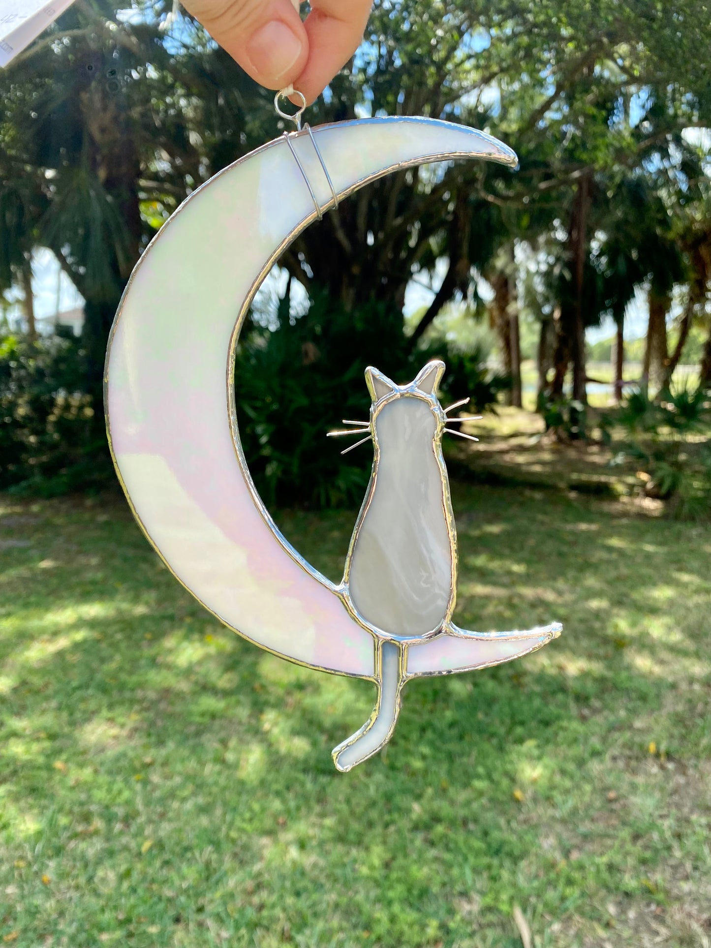 Cat and Moon
