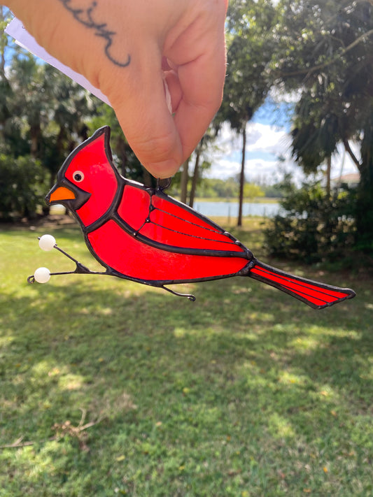 Cardinal Picking Berries