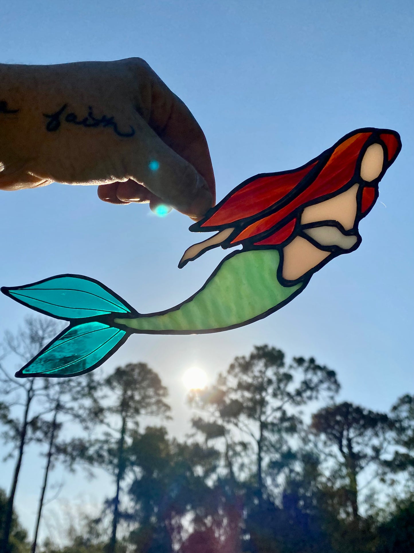 Mermaid Swimming