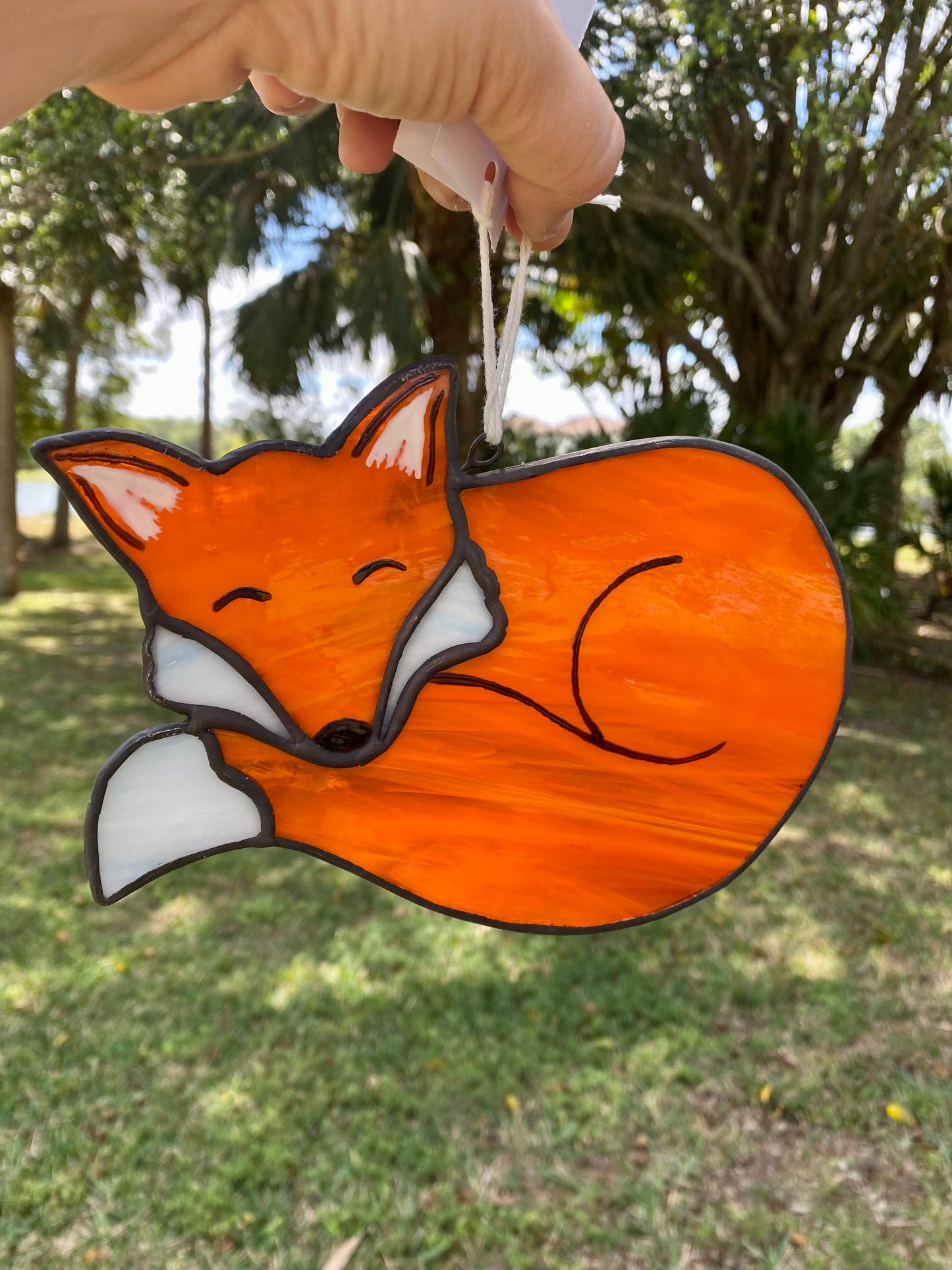 Fox at Rest