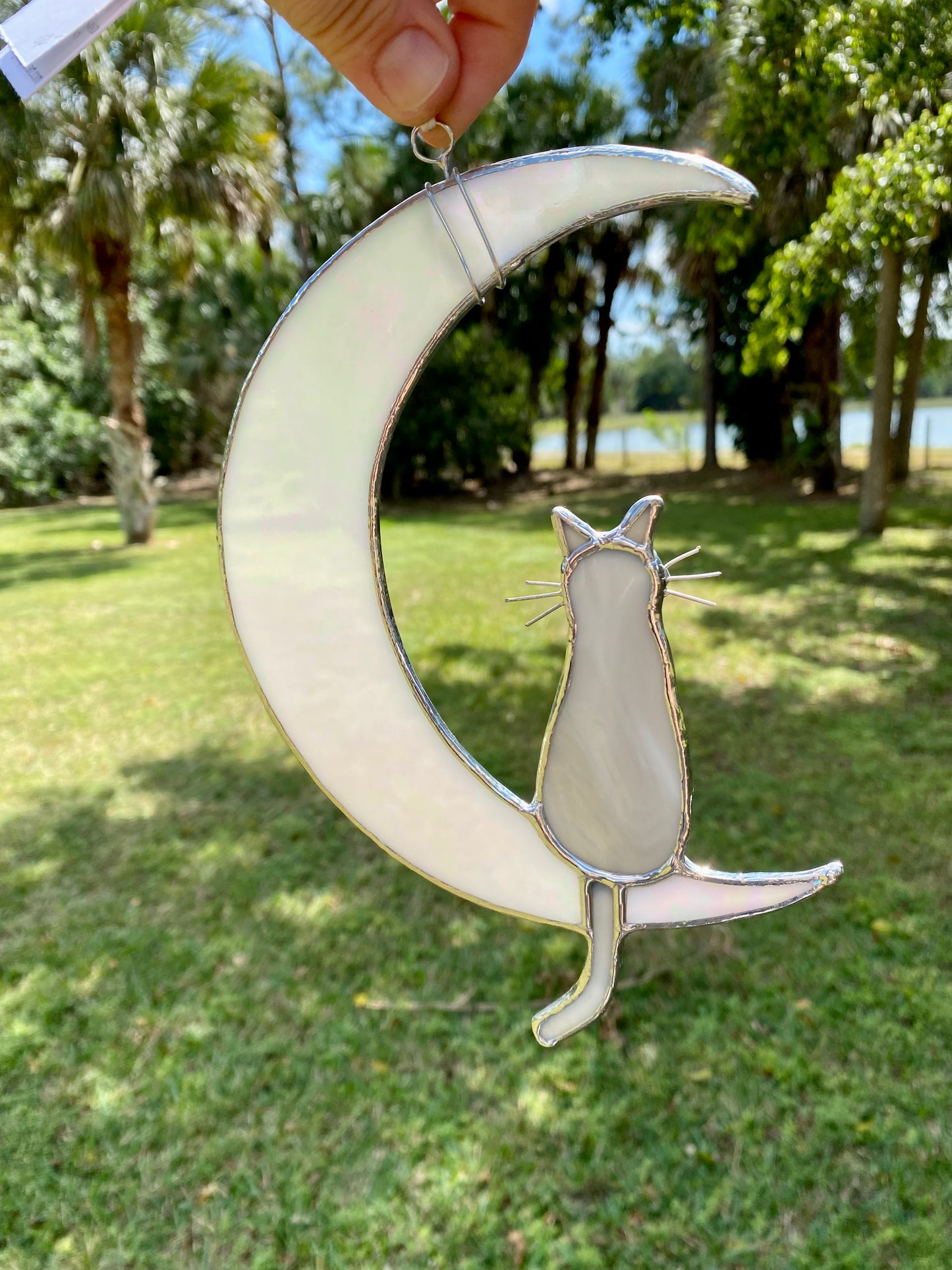 Cat and Moon