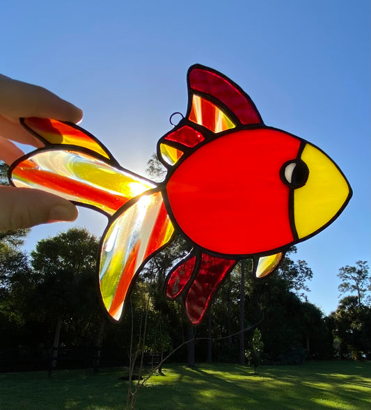 Fancy Fins