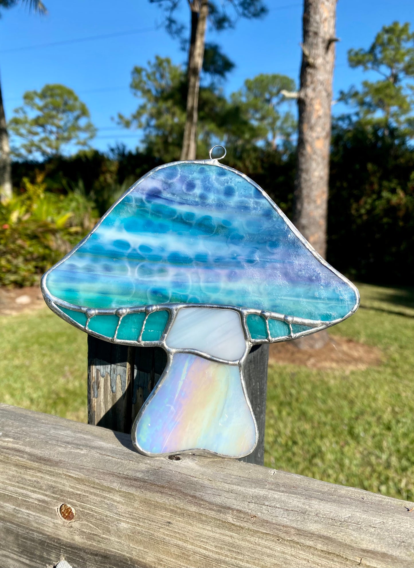 Mystery Magical Mushroom