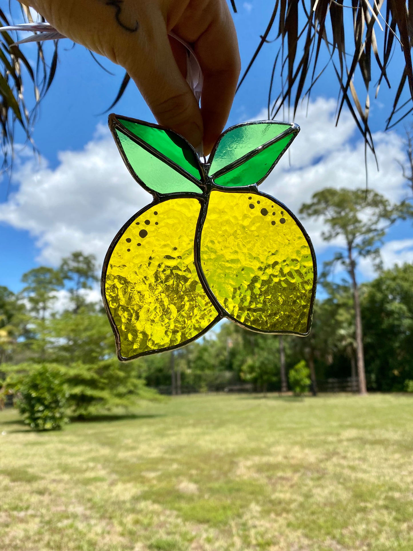 Fresh Picked Lemons