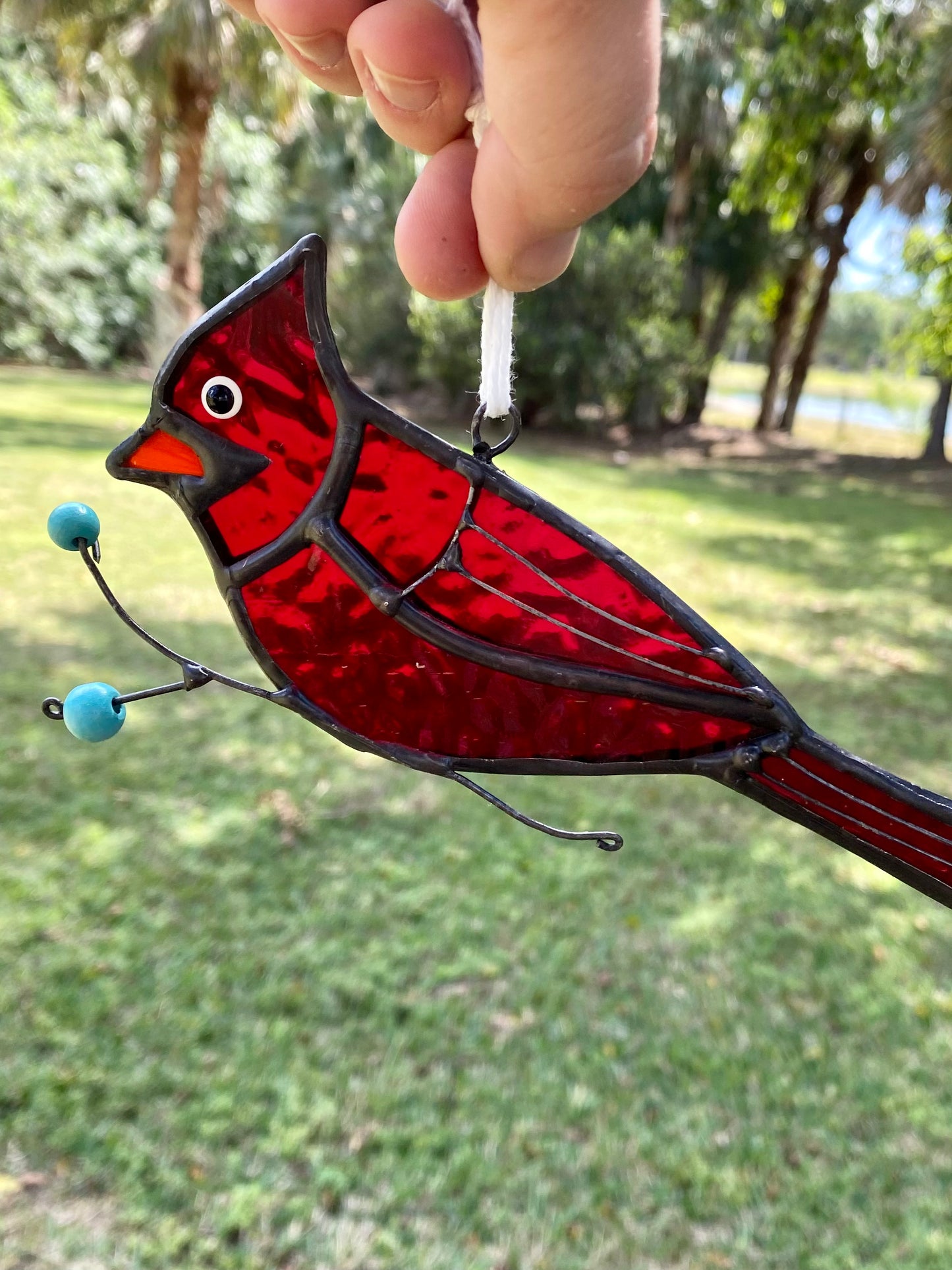 Cardinal Picking Berries