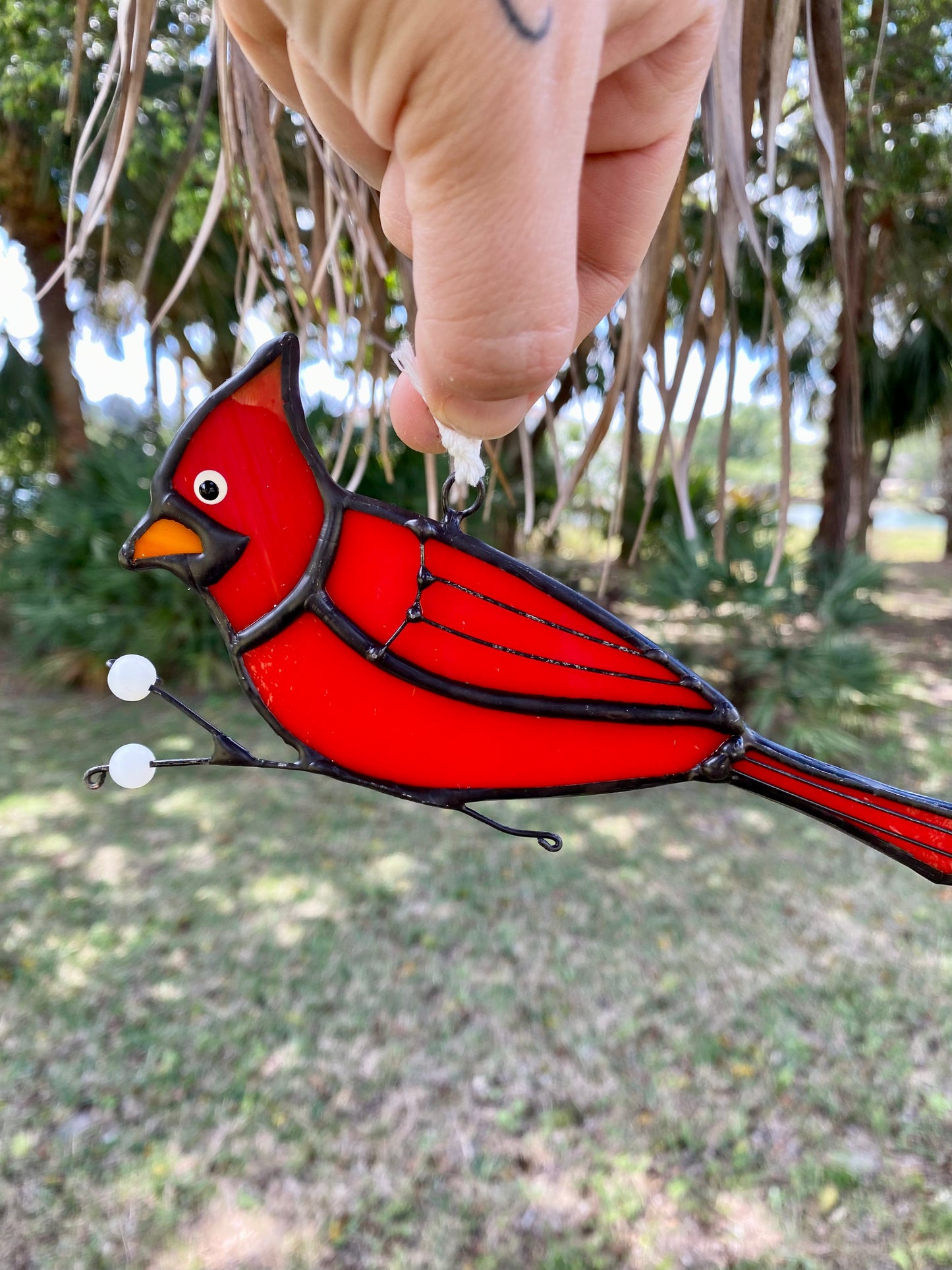 Cardinal Picking Berries