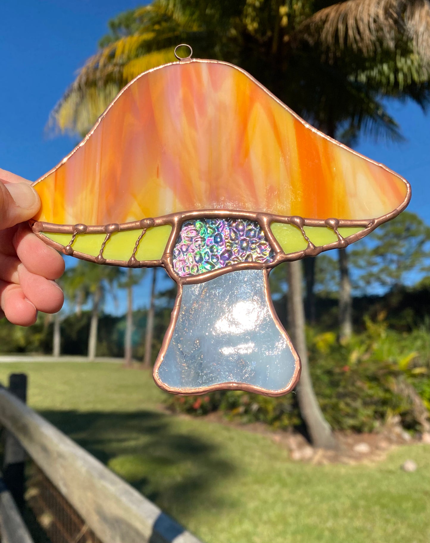 Mystery Magical Mushroom