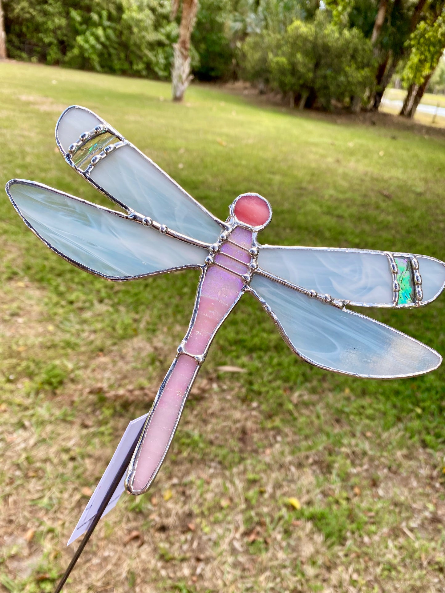 Pink Dragonfly