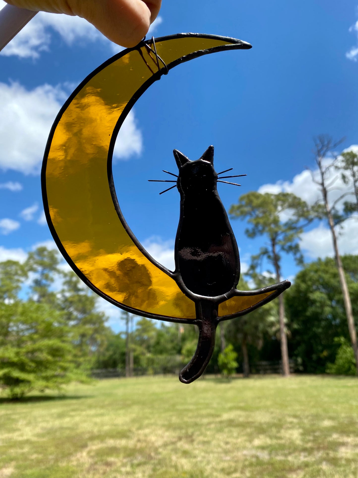 Cat and Moon