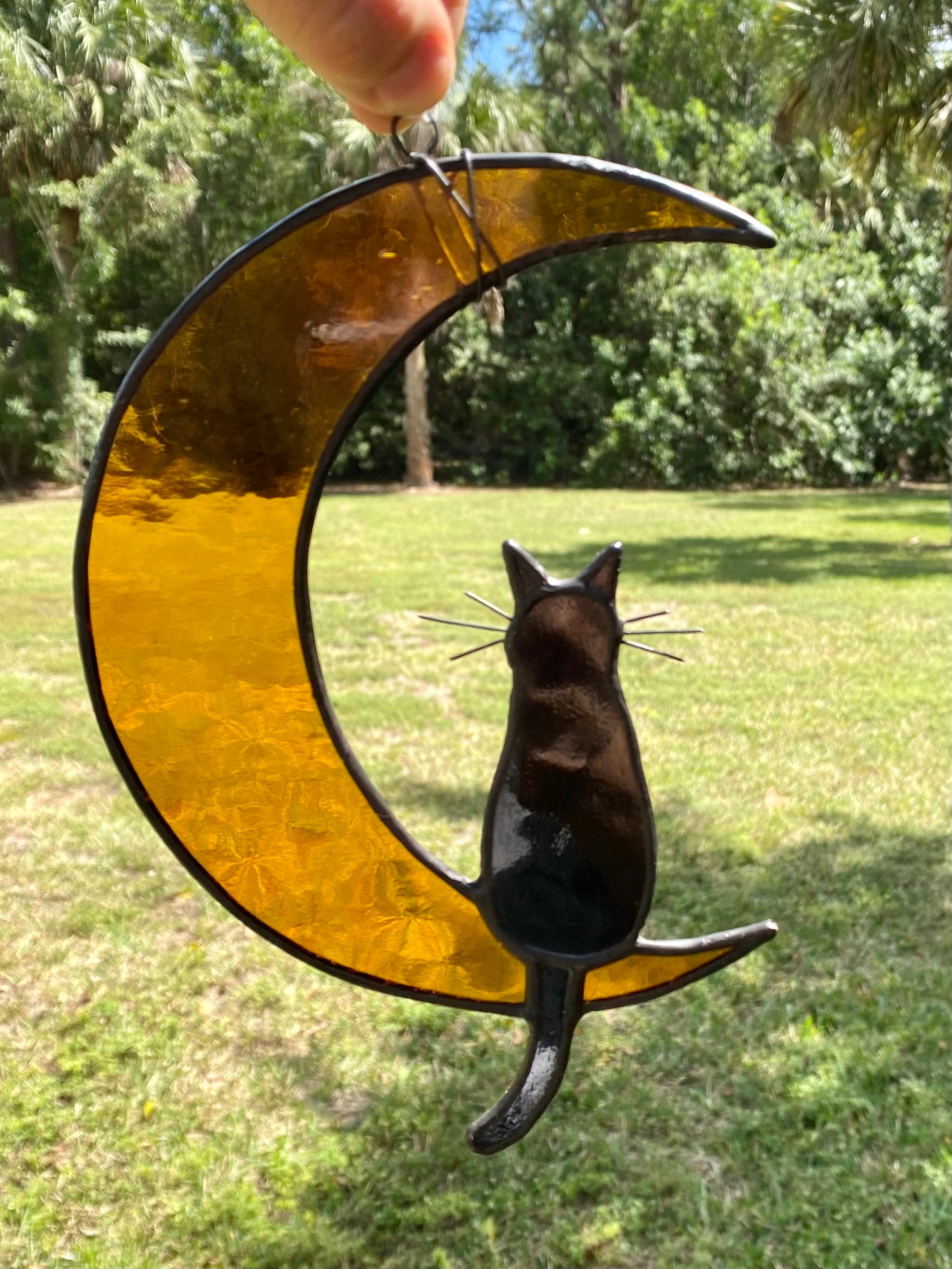 Cat and Moon