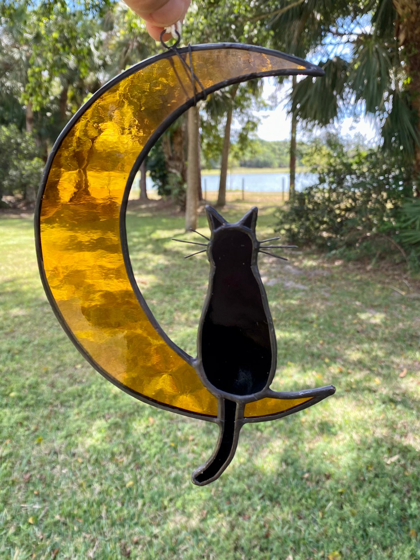Cat and Moon