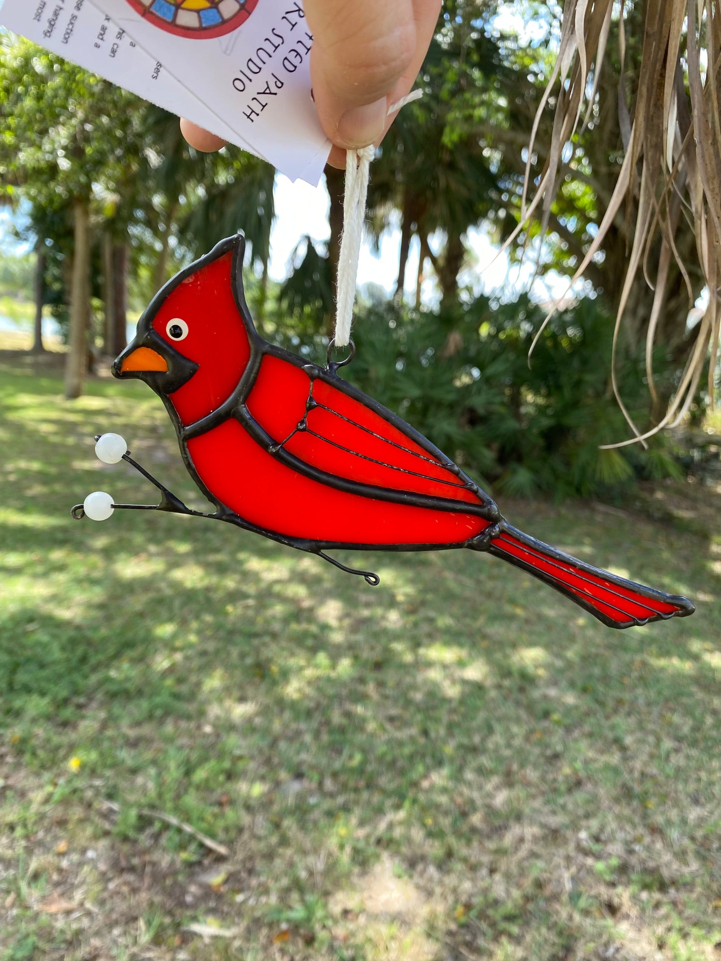 Cardinal Picking Berries