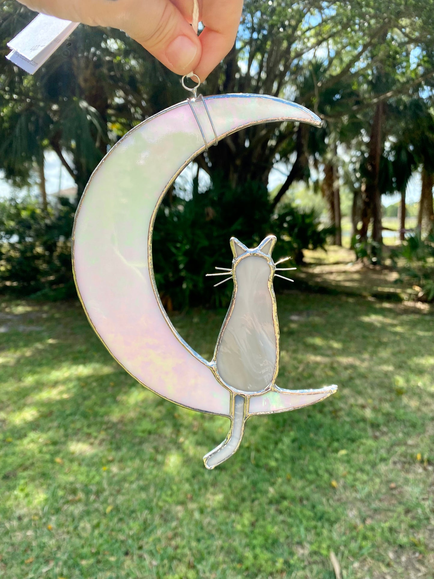 Cat and Moon