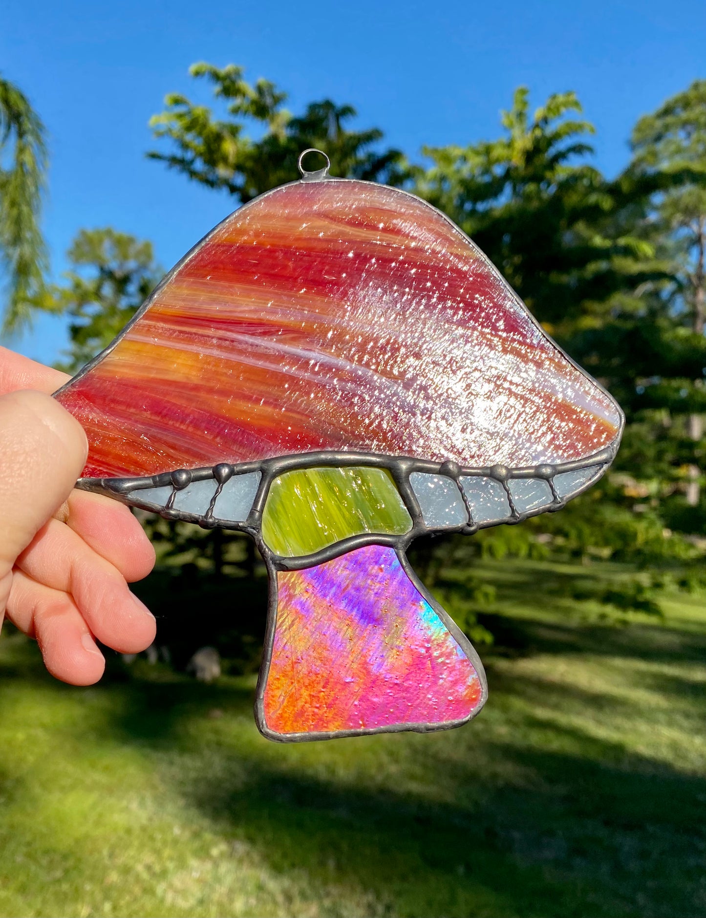 Mystery Magical Mushroom