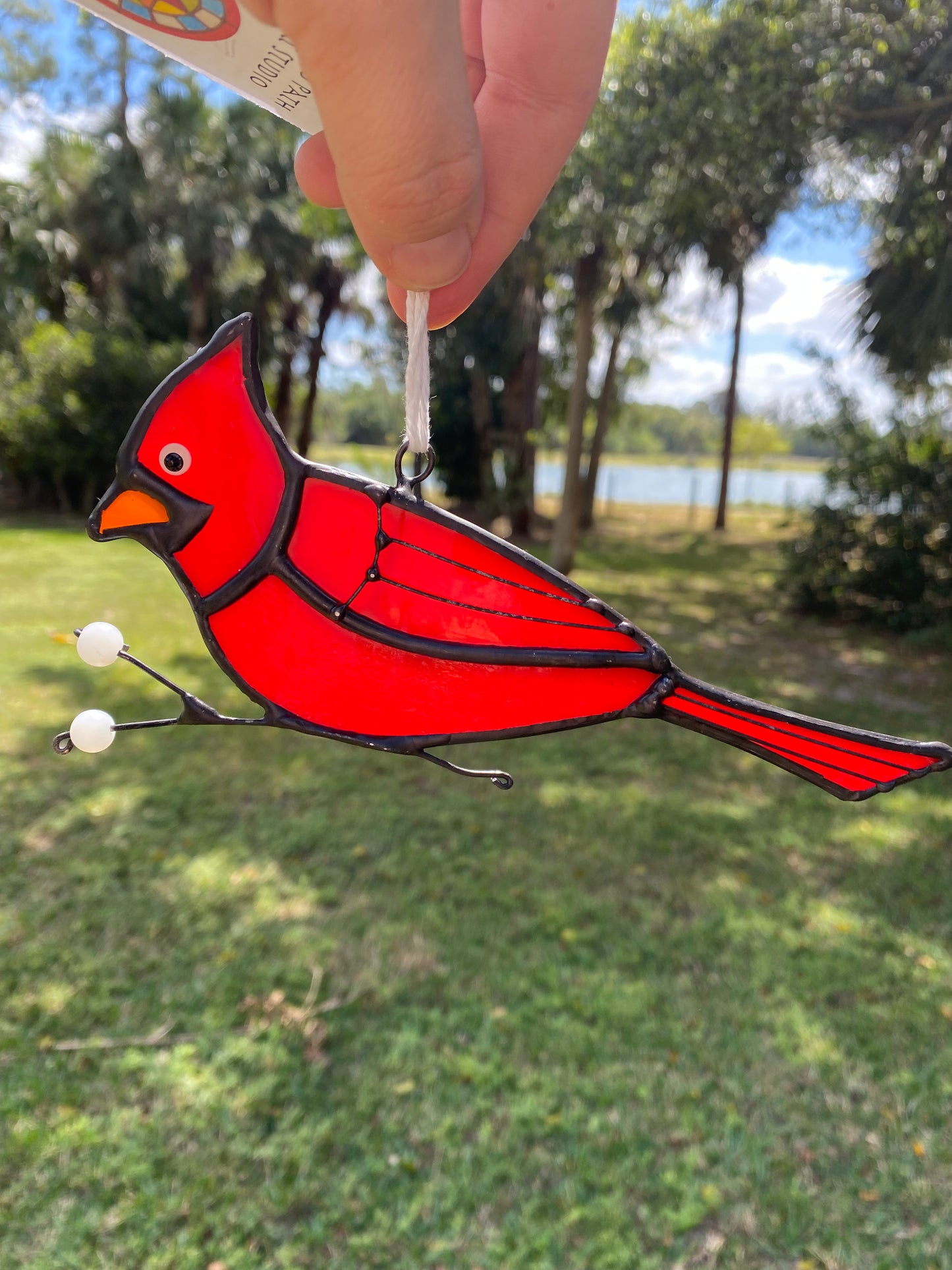 Cardinal Picking Berries