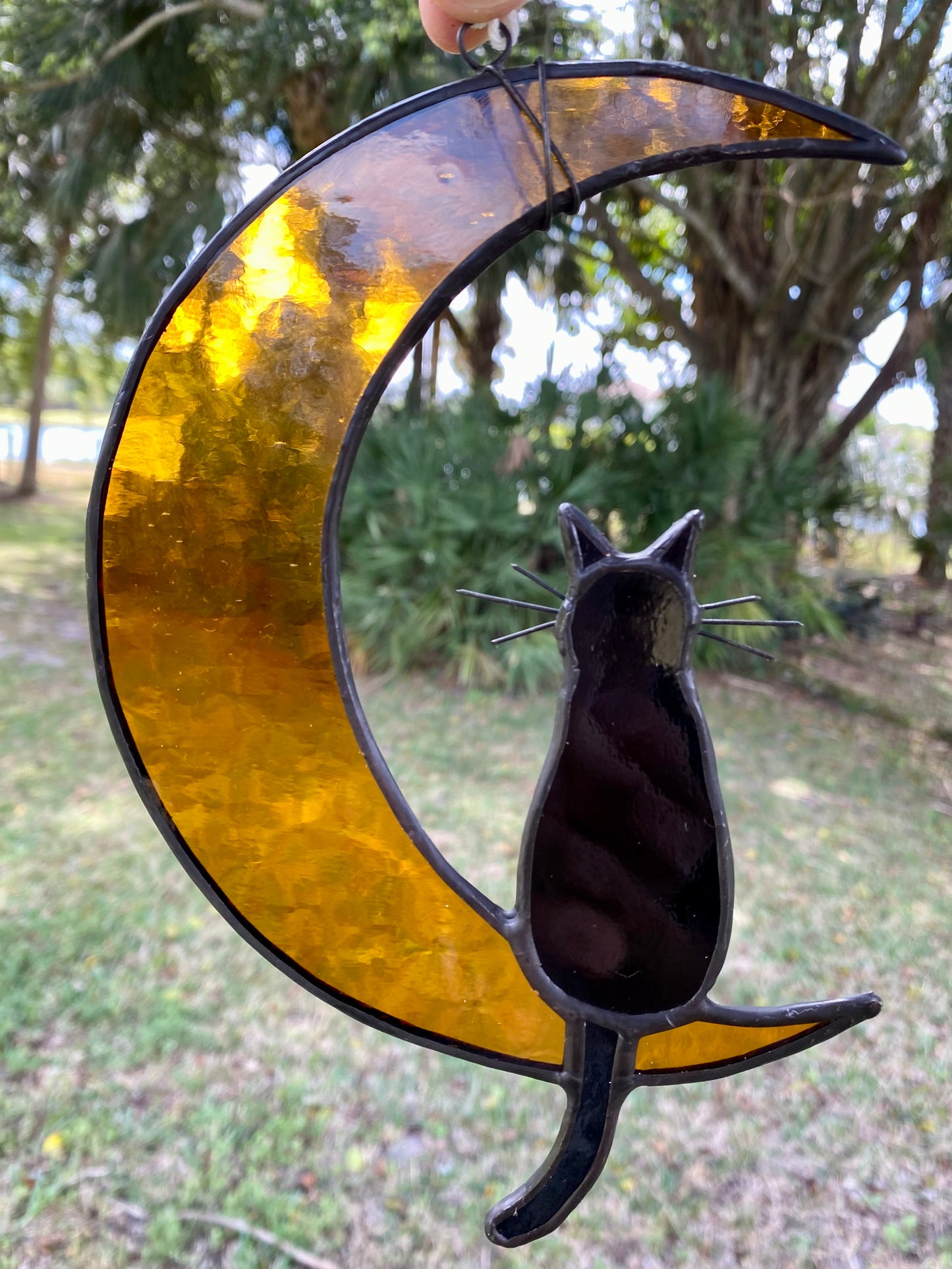 Cat and Moon