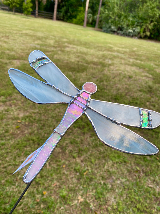 Pink Dragonfly