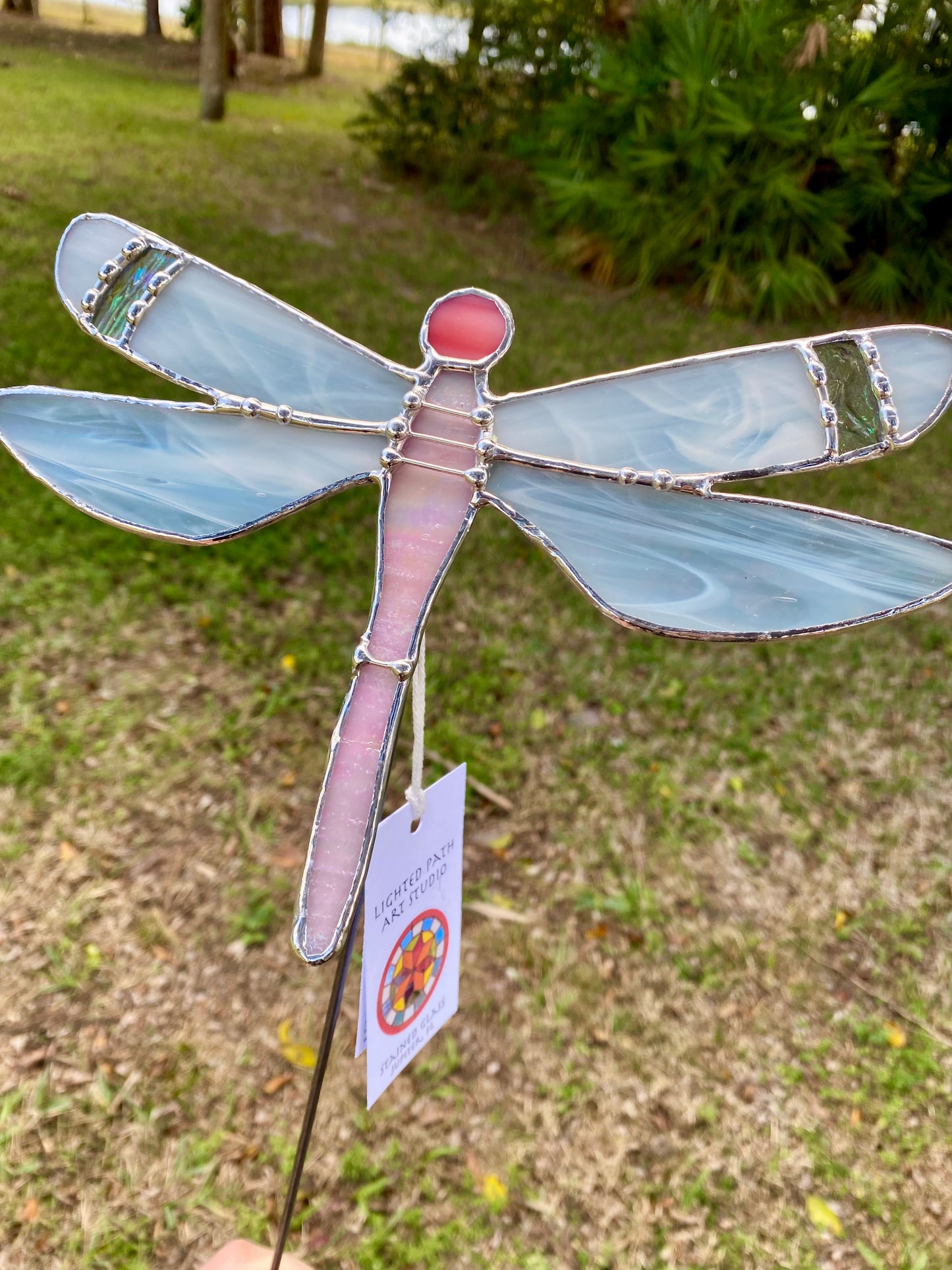 Pink Dragonfly