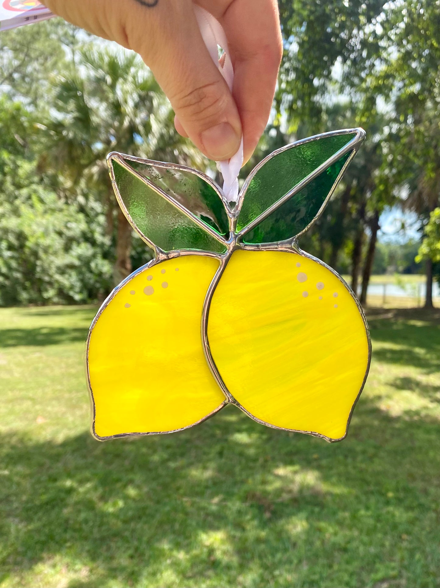 Fresh Picked Lemons