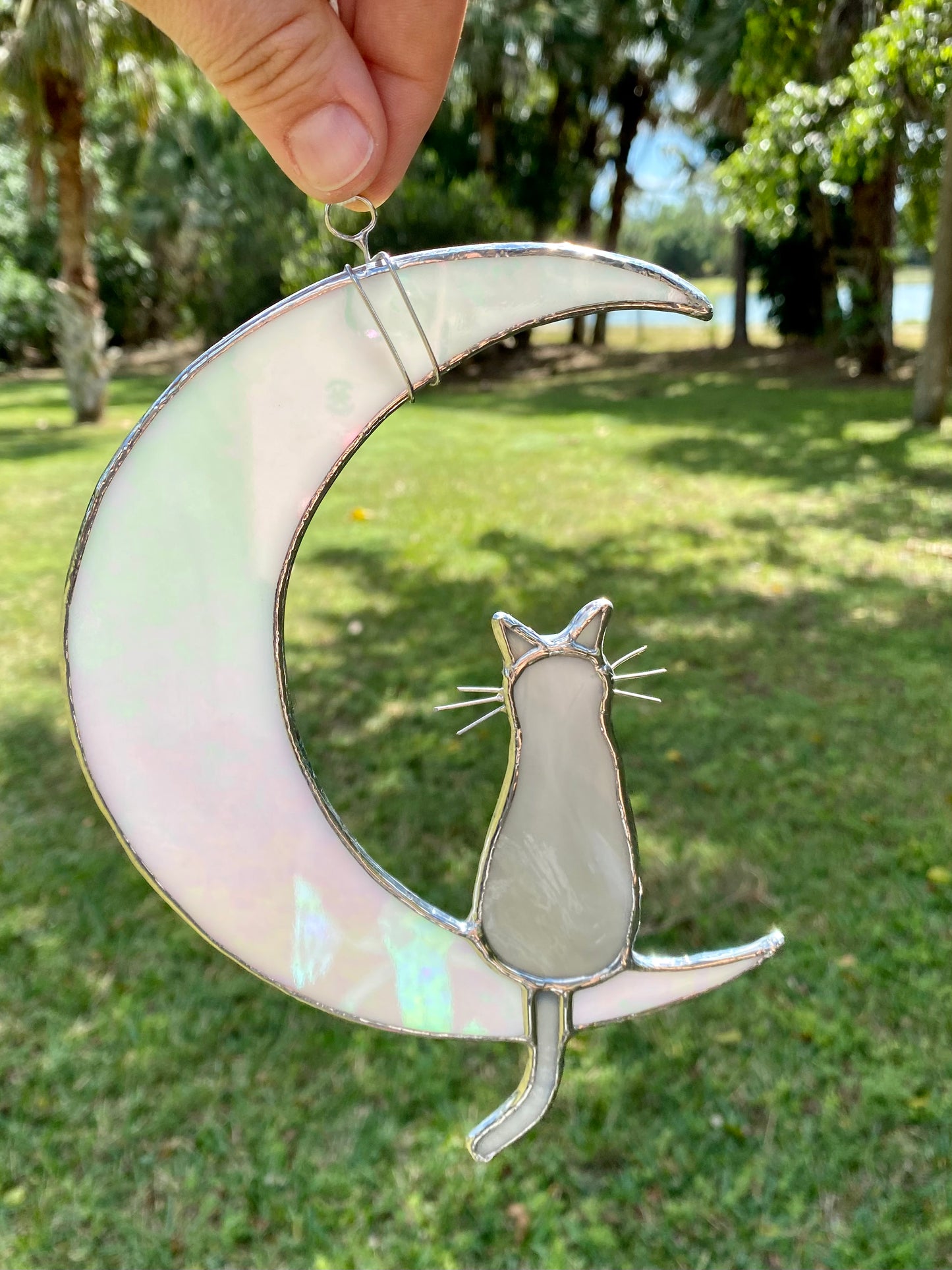 Cat and Moon