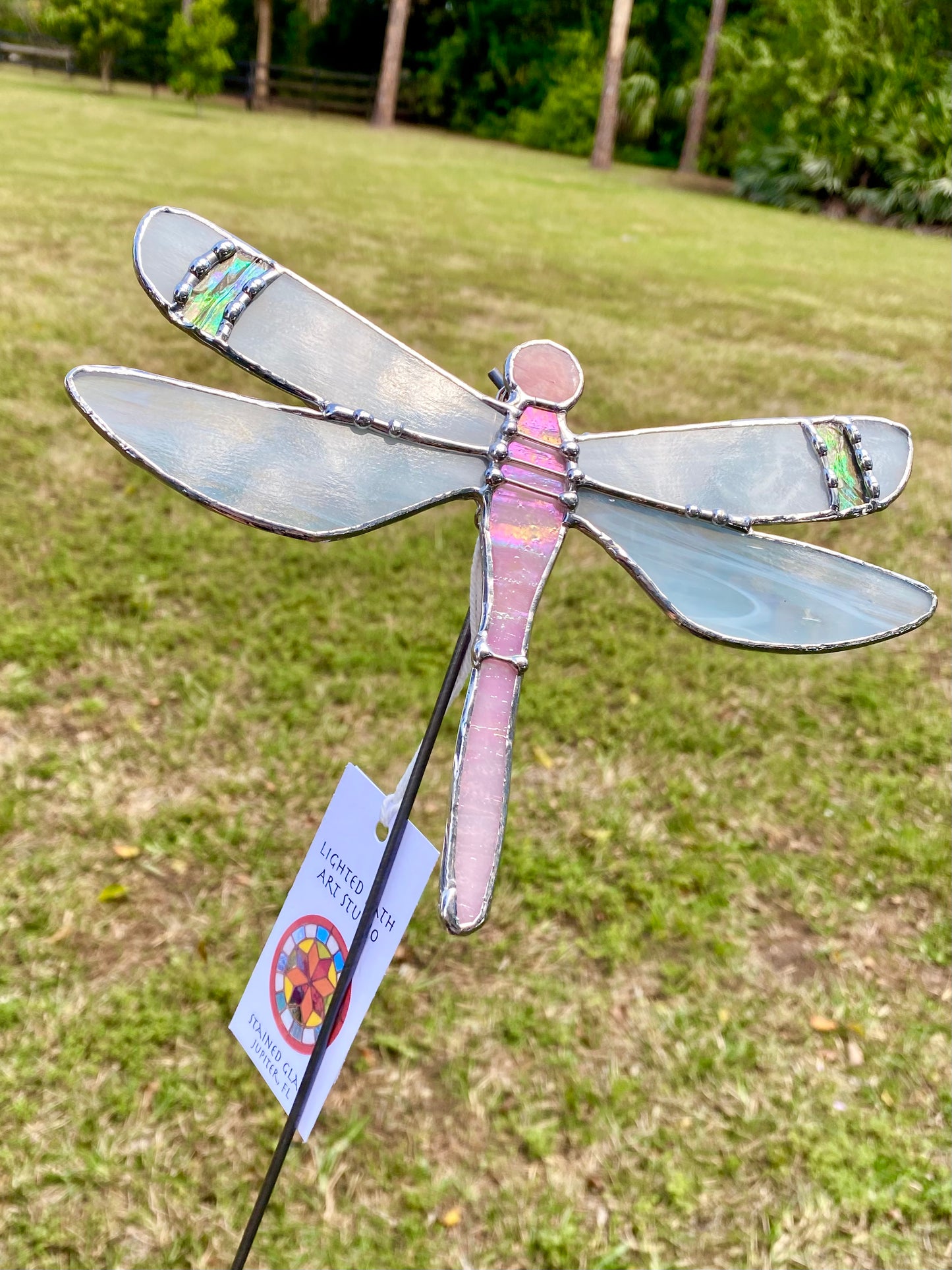 Pink Dragonfly
