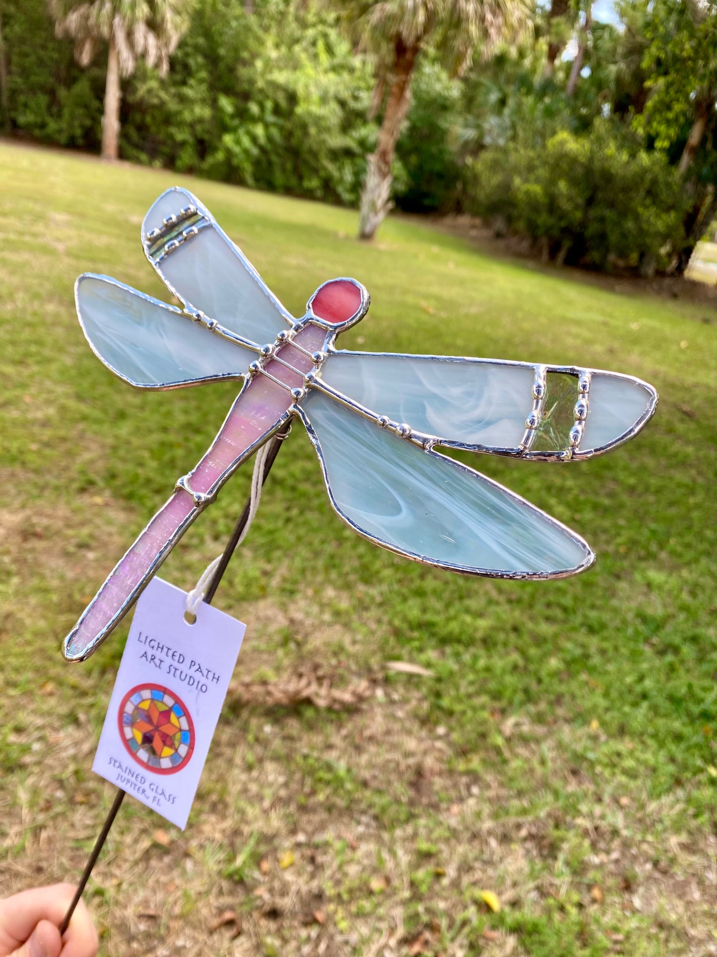 Pink Dragonfly