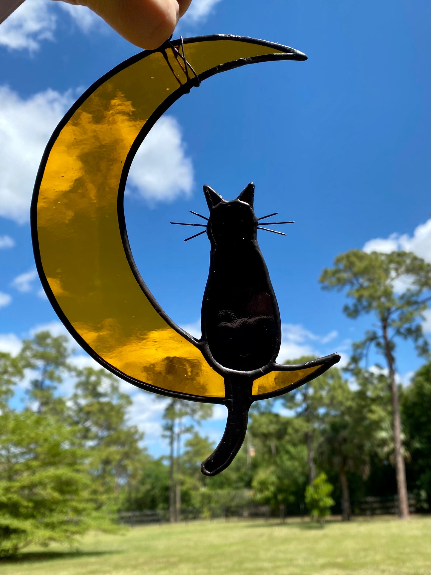 Cat and Moon