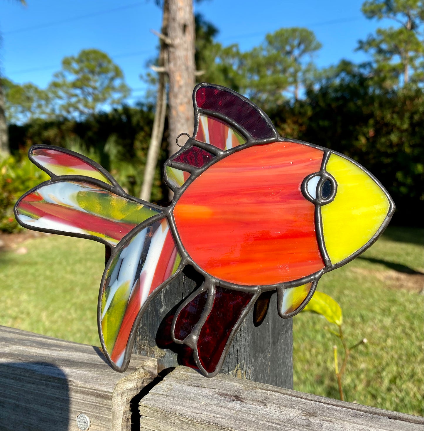 Fancy Fins