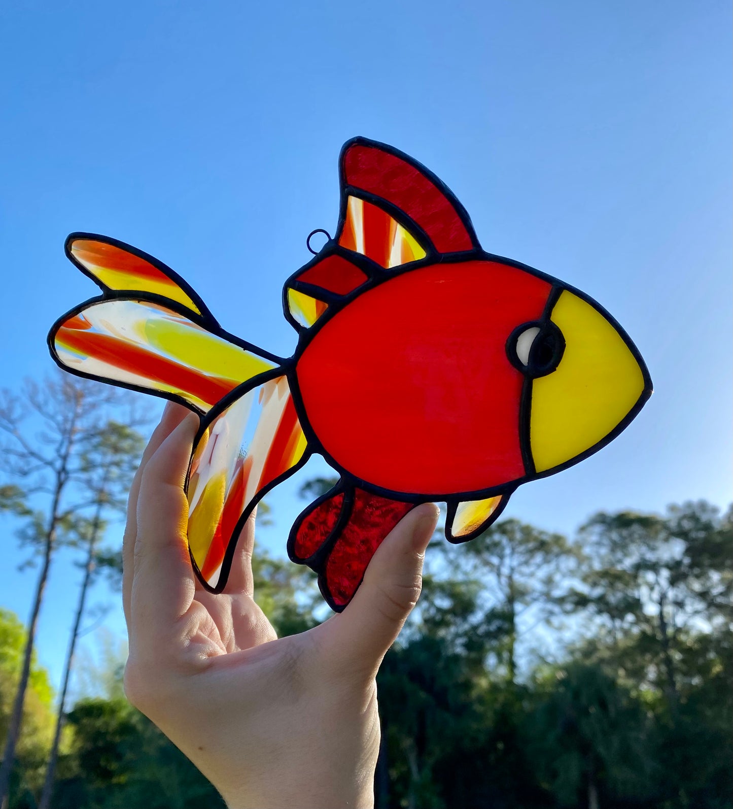 Fancy Fins