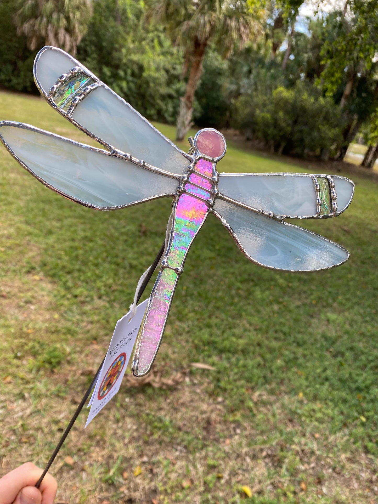 Pink Dragonfly