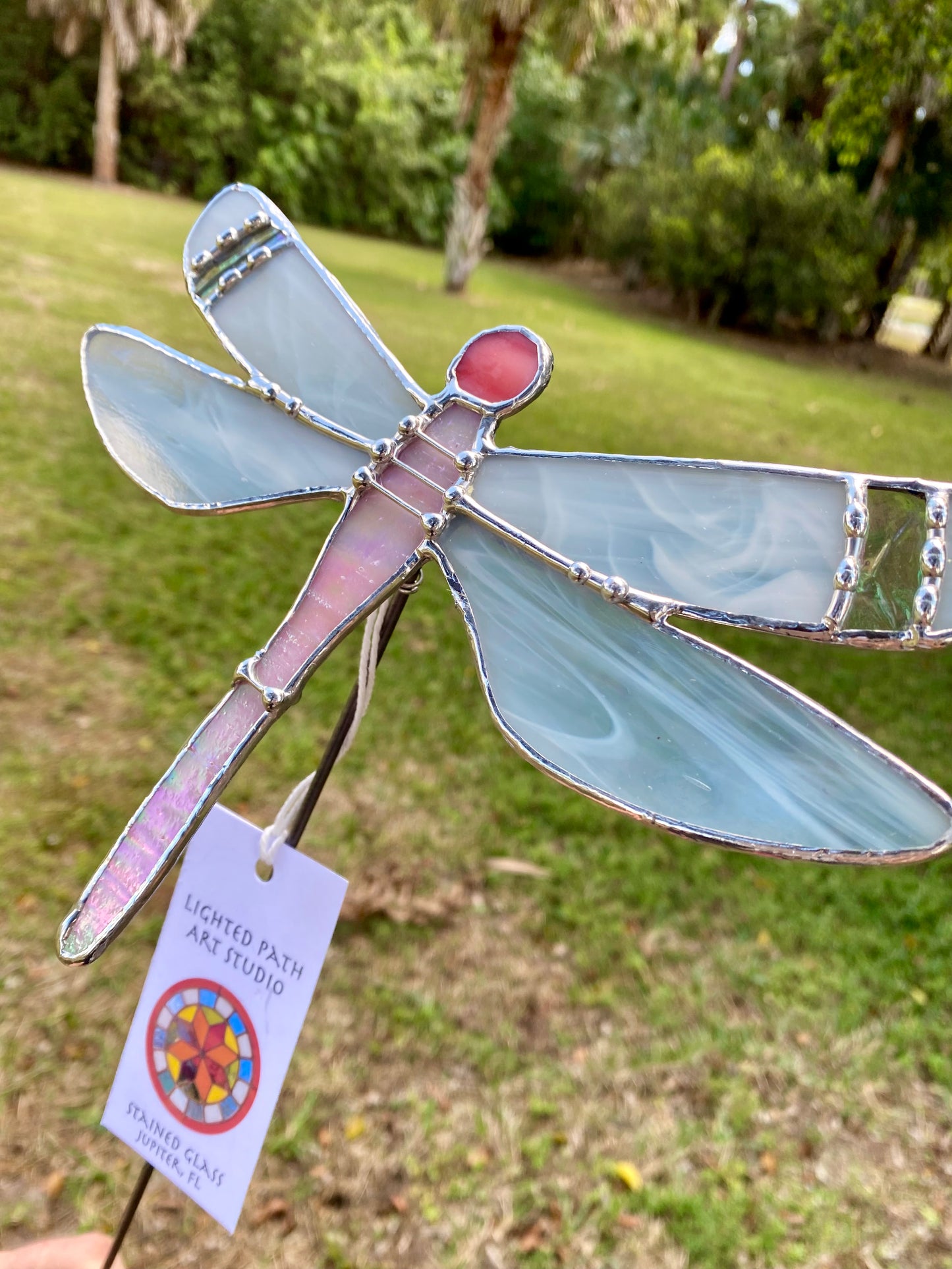 Pink Dragonfly