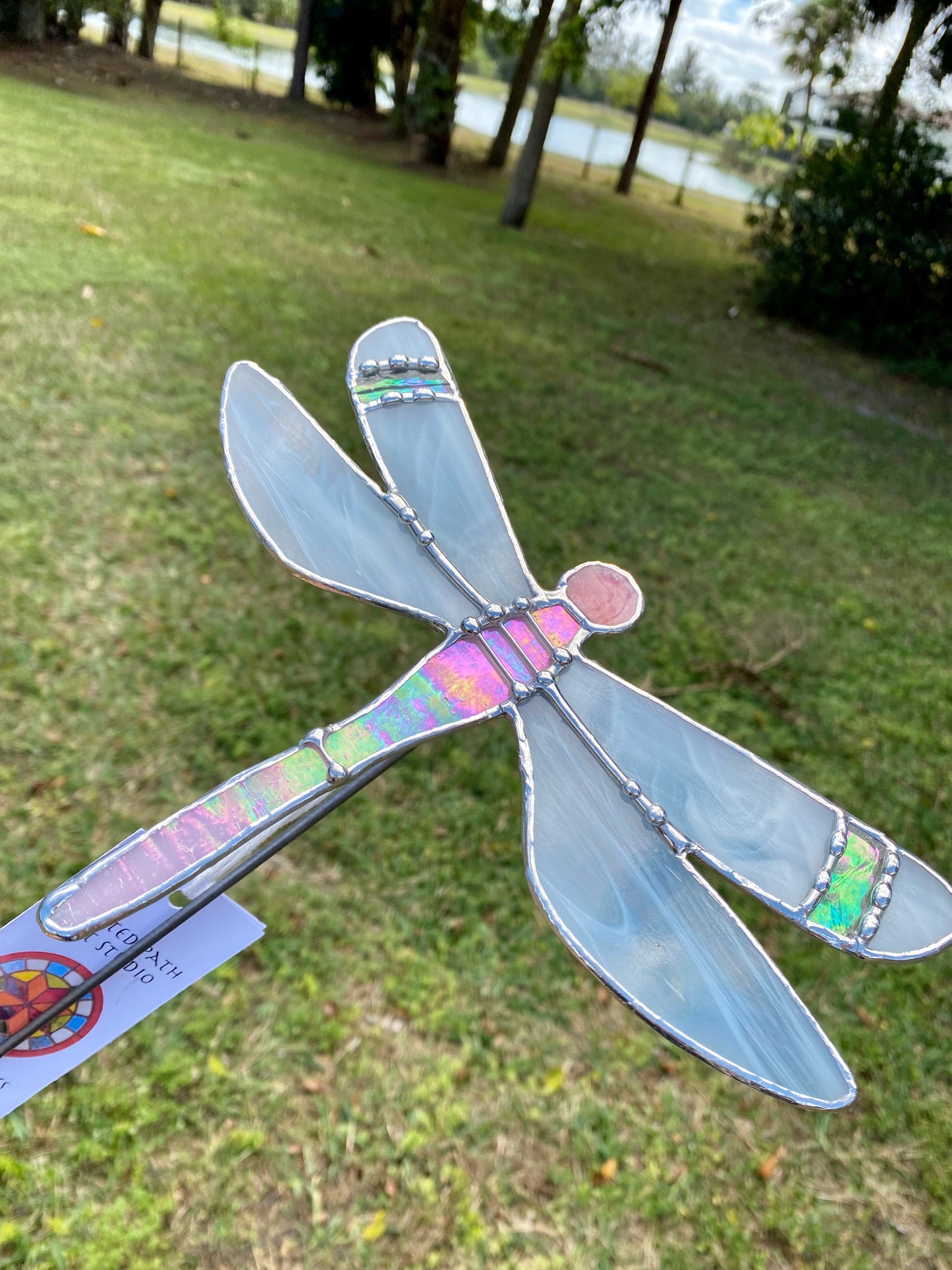 Pink Dragonfly