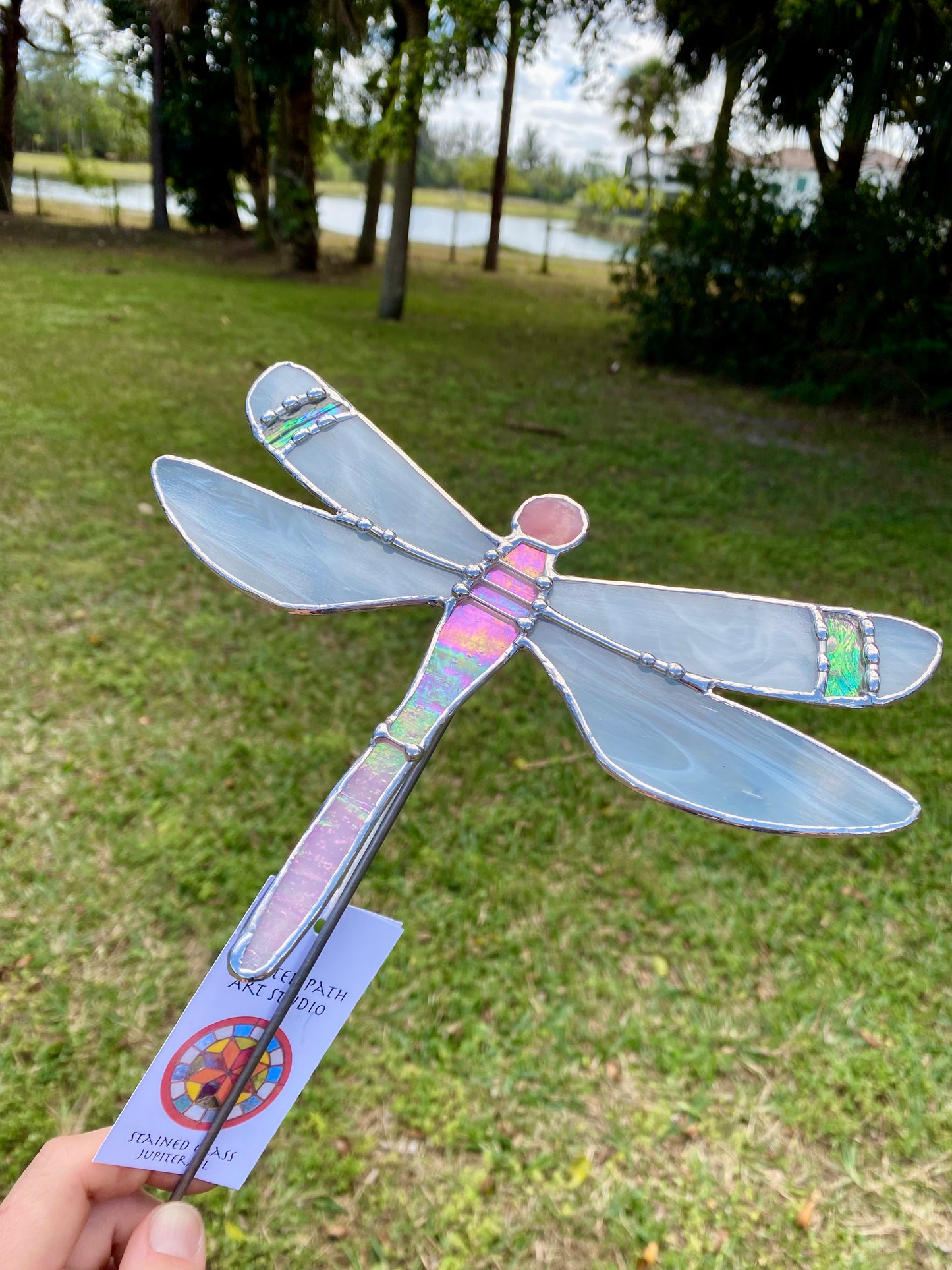 Pink Dragonfly