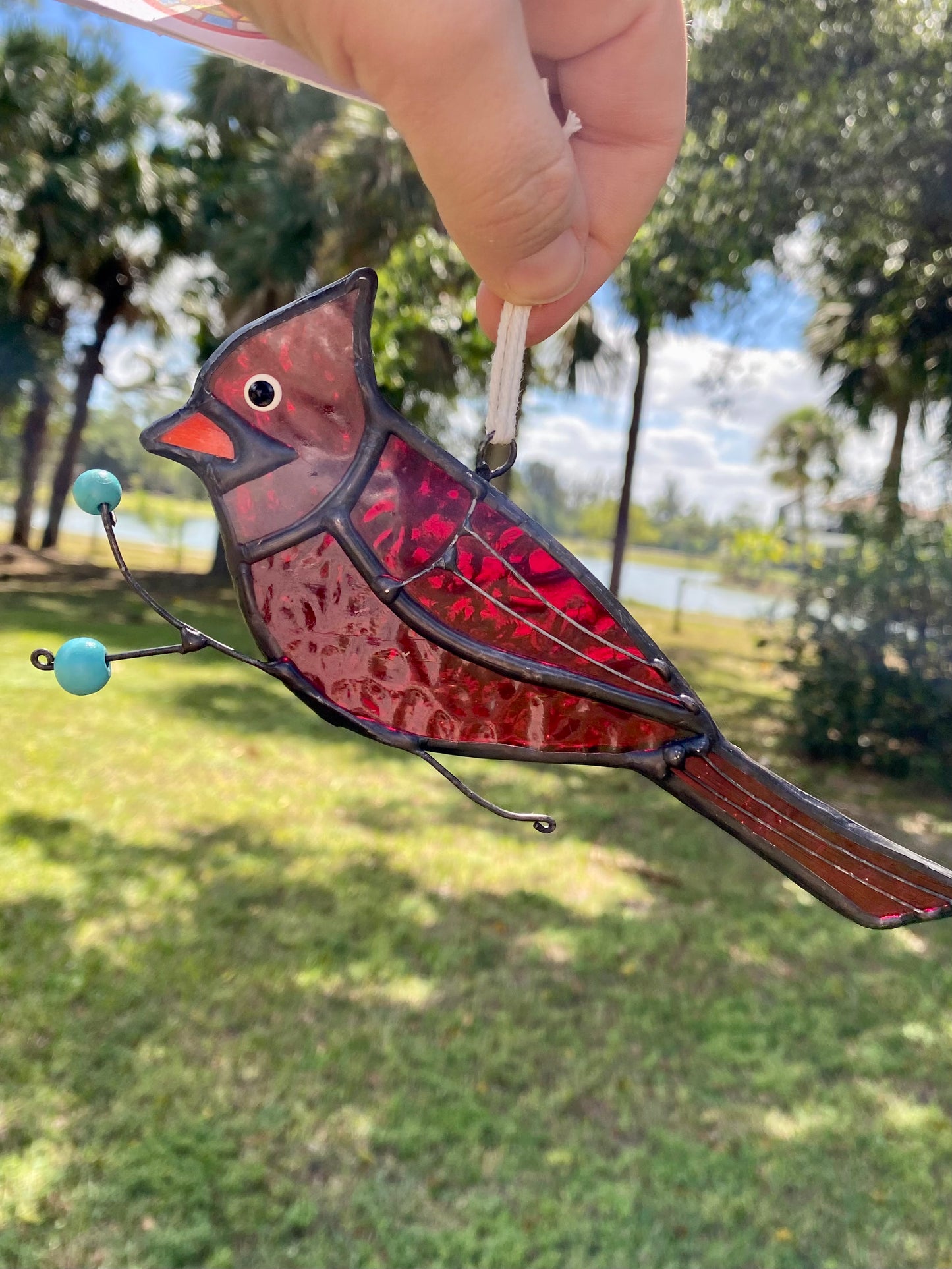 Cardinal Picking Berries