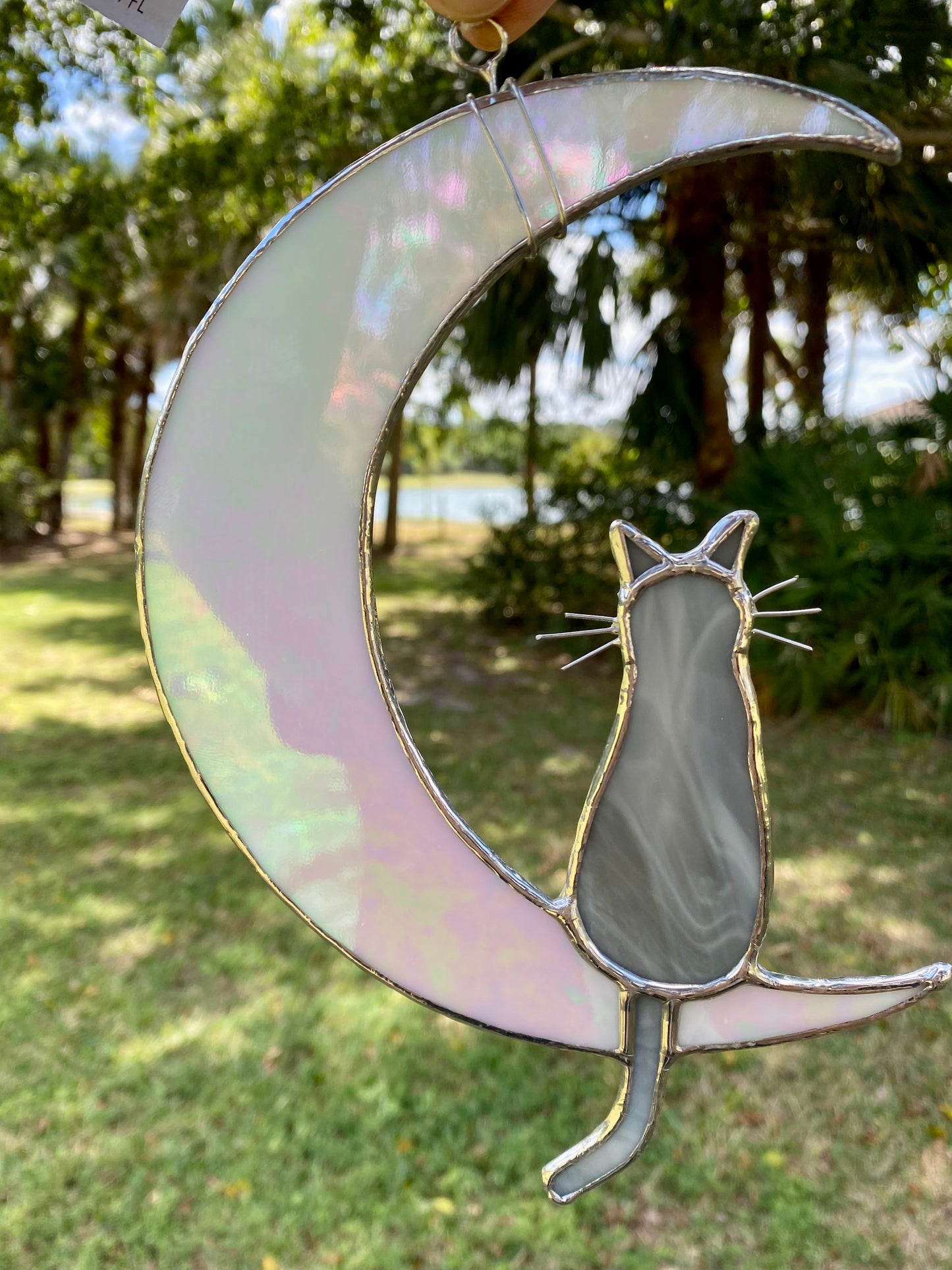 Cat and Moon