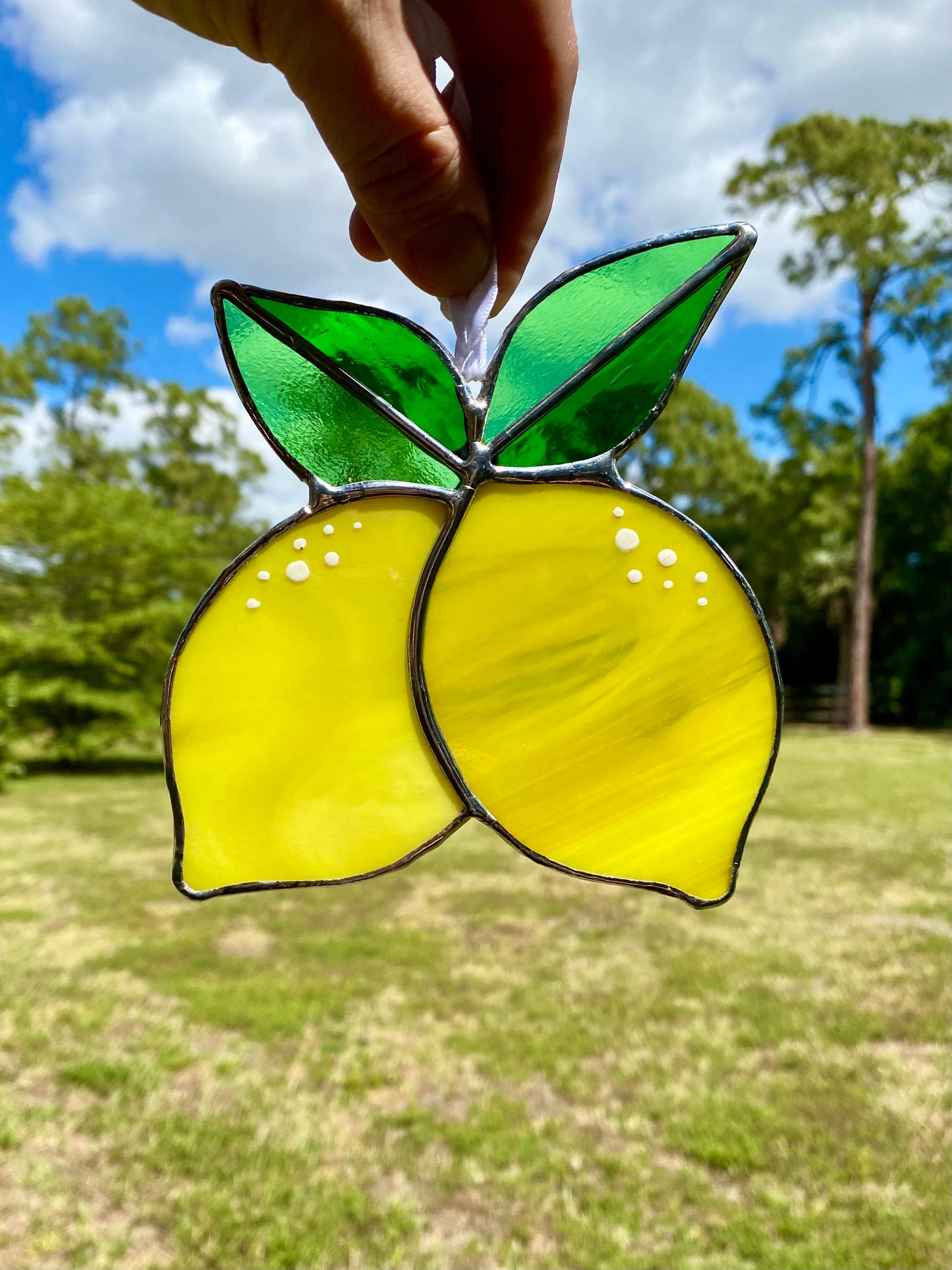 Fresh Picked Lemons
