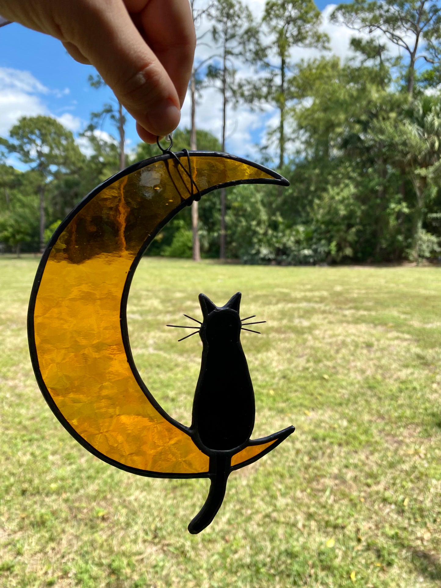 Cat and Moon