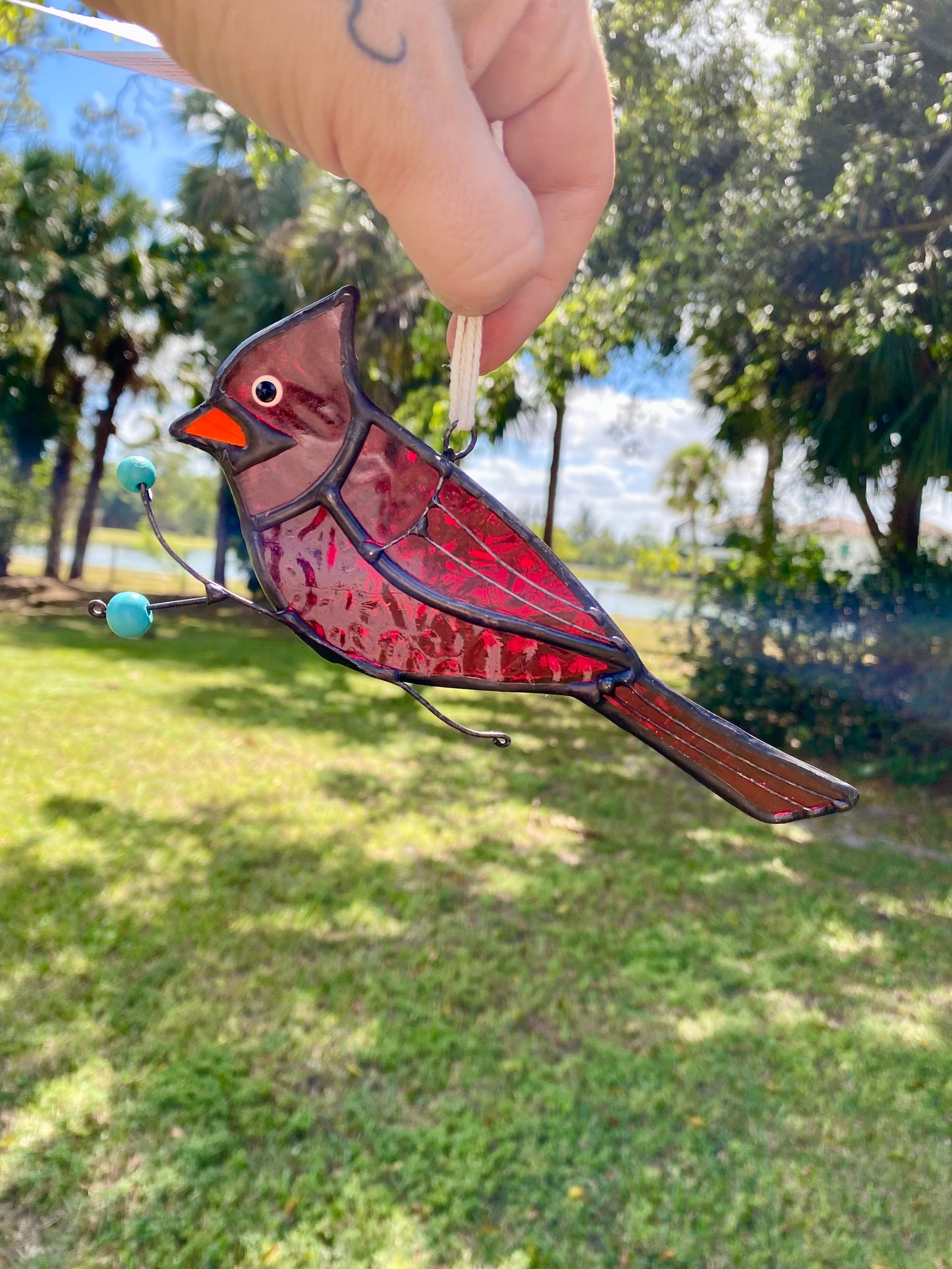 Cardinal Picking Berries