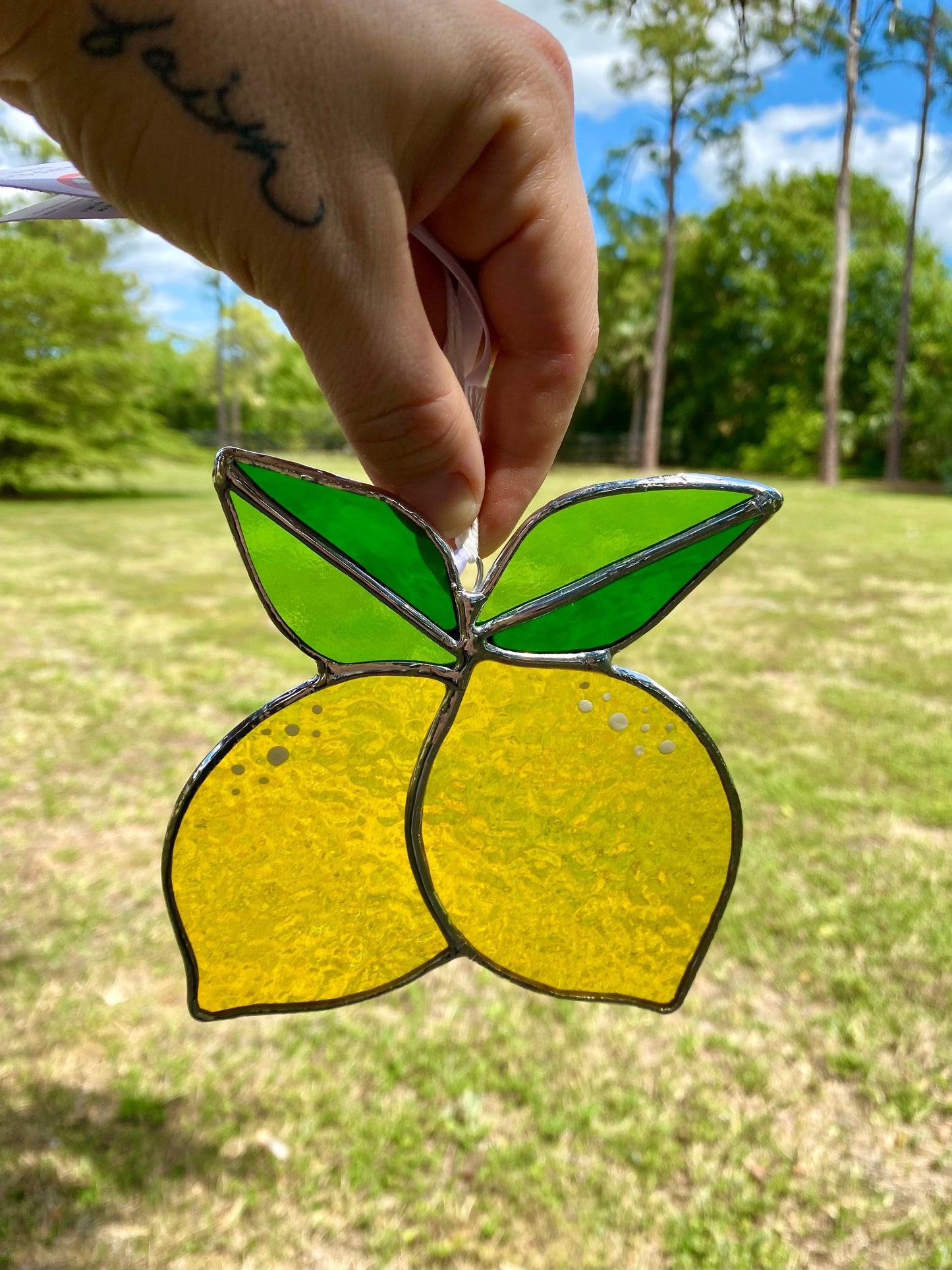 Fresh Picked Lemons