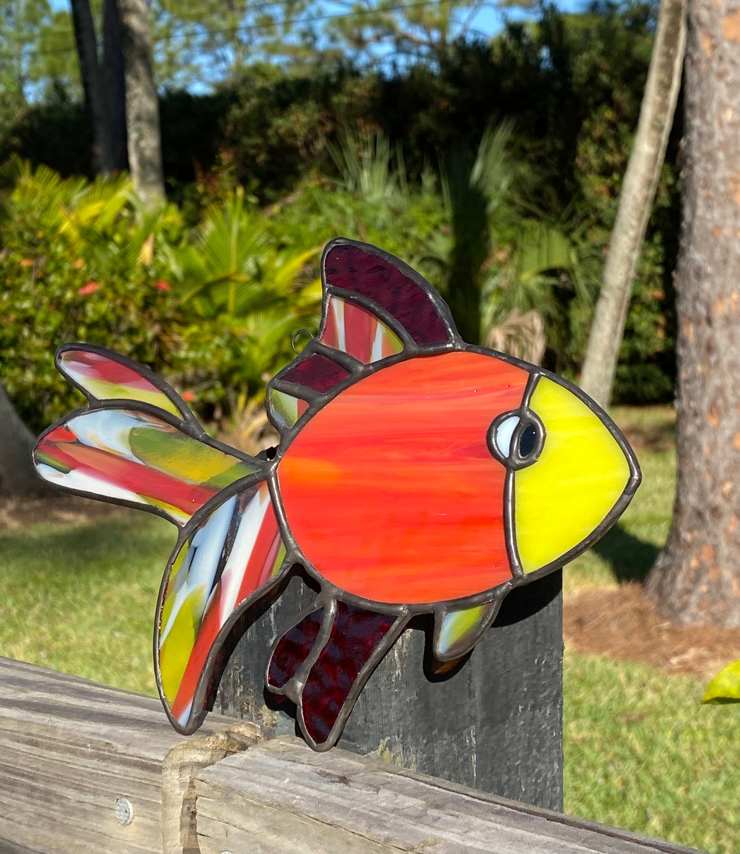 Fancy Fins