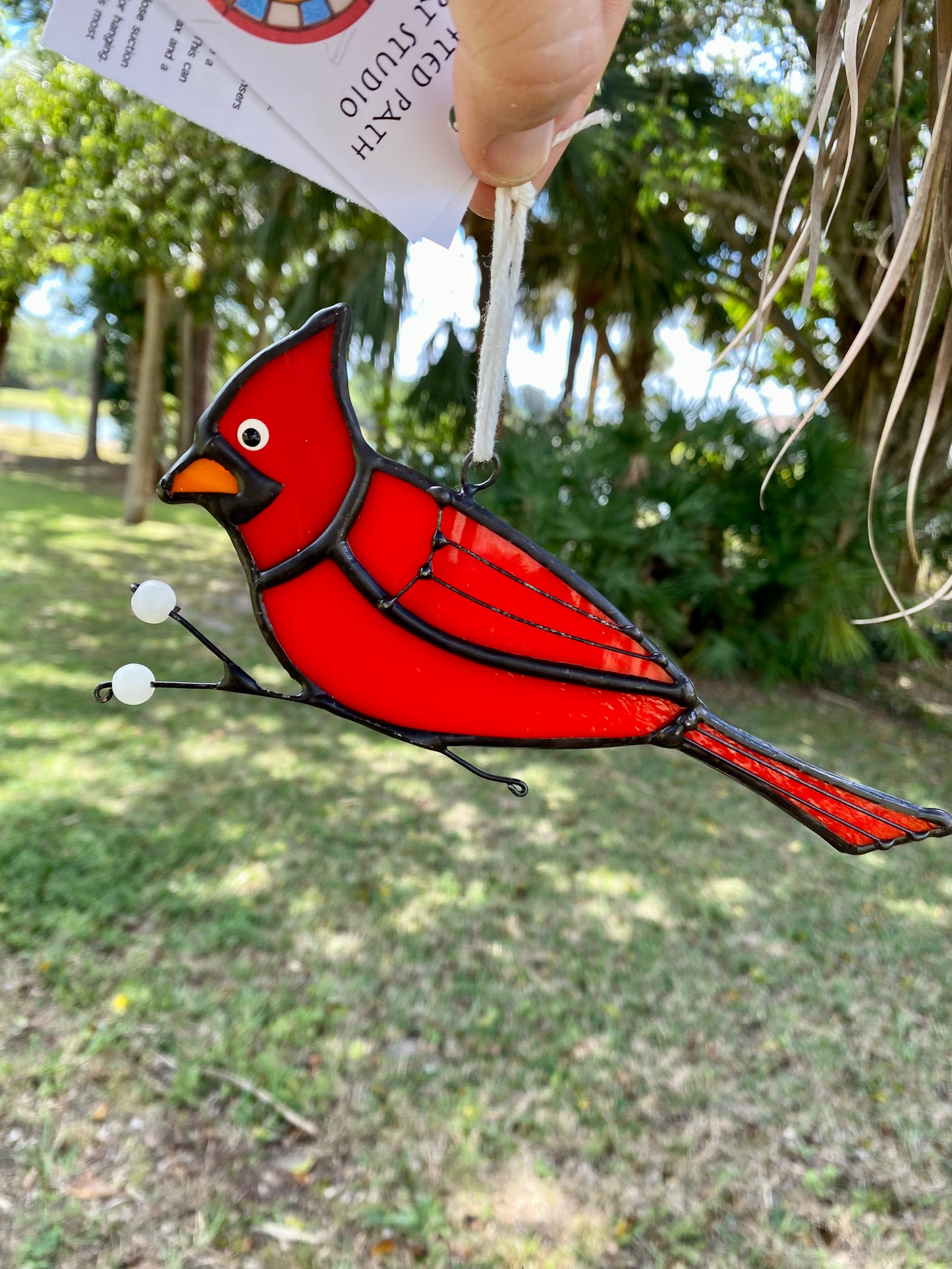 Cardinal Picking Berries