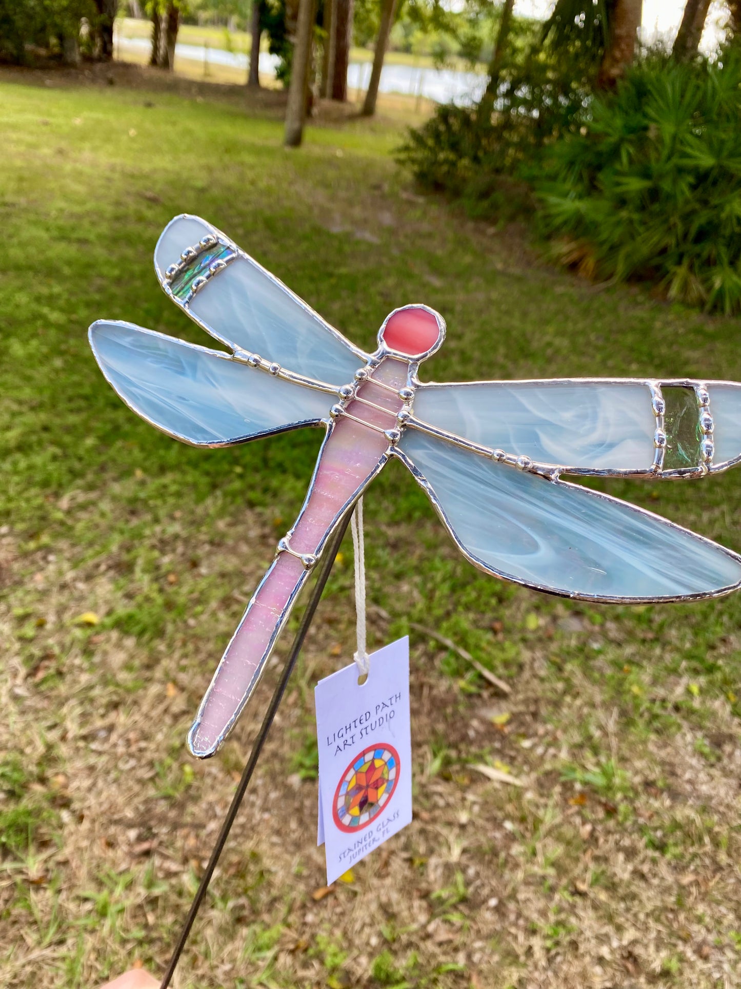 Pink Dragonfly