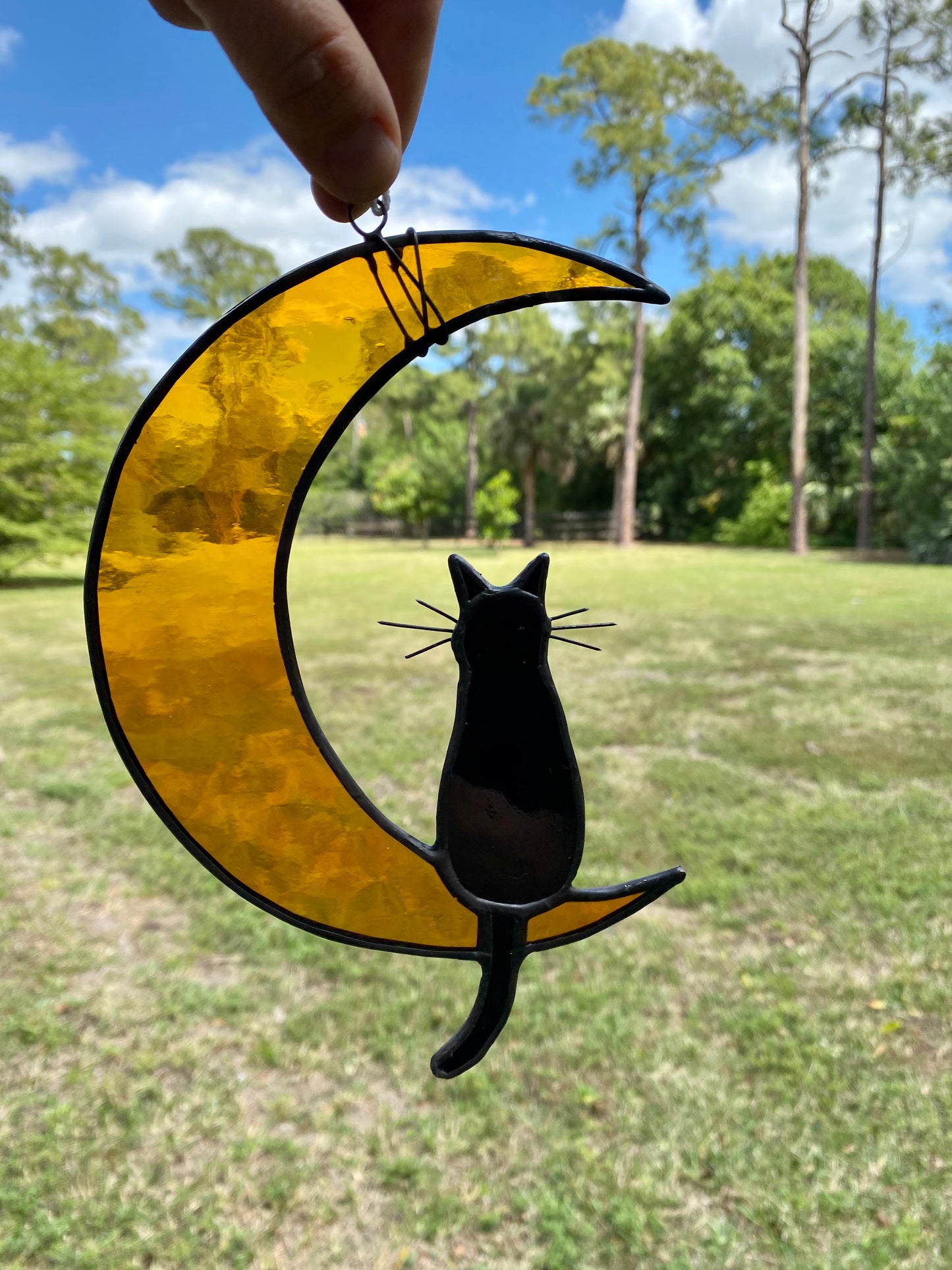 Cat and Moon