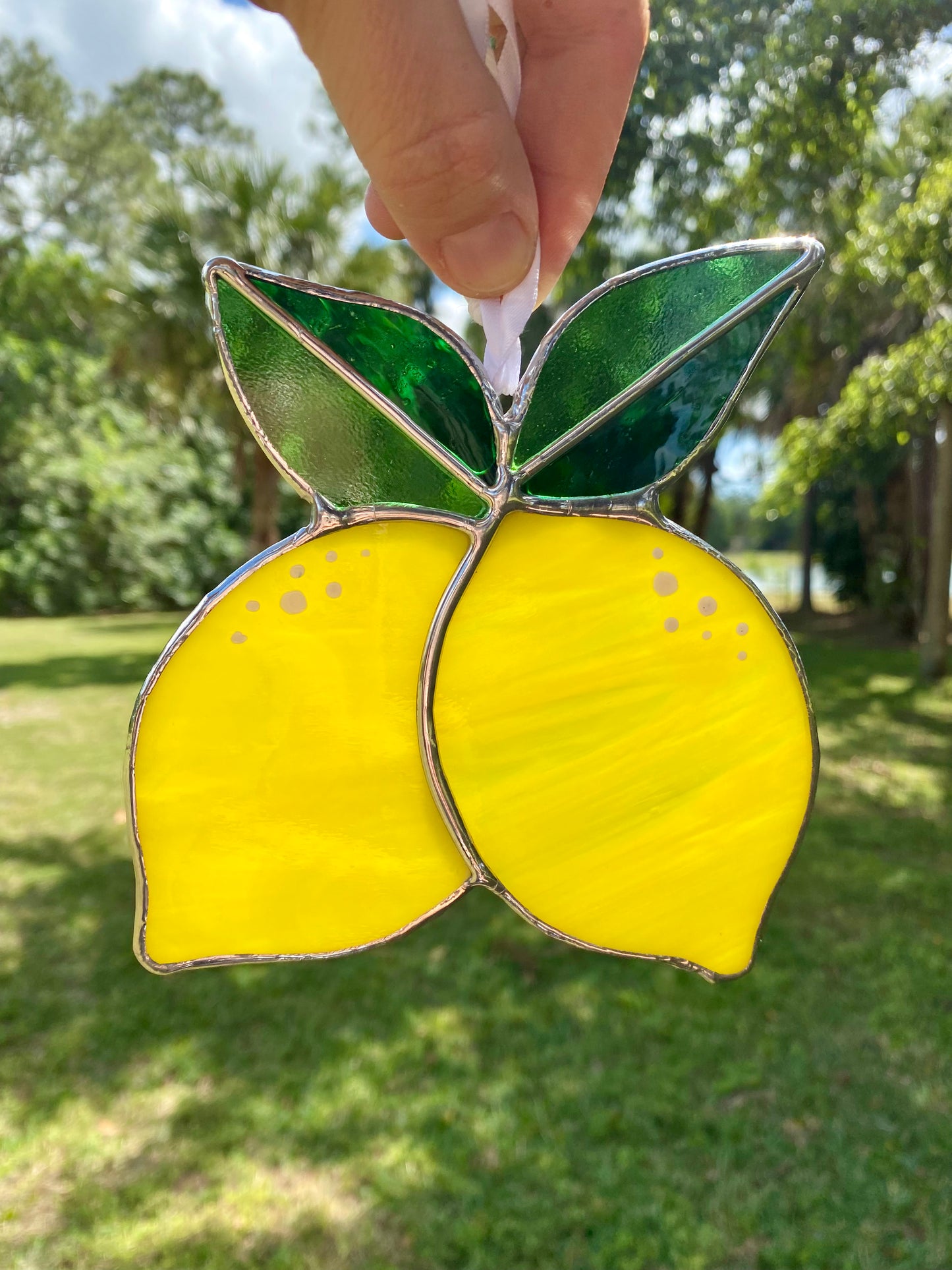 Fresh Picked Lemons