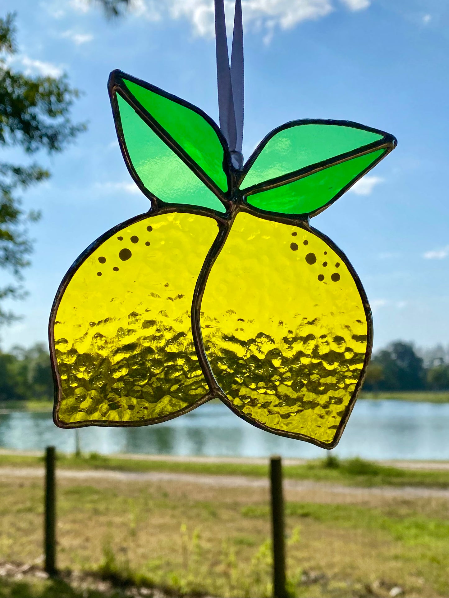 Fresh Picked Lemons